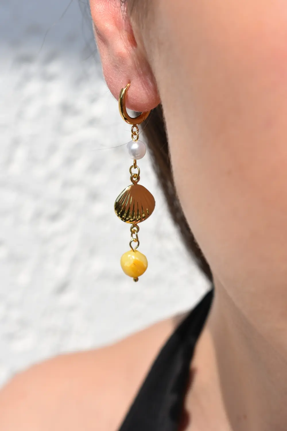 Shell Hoops